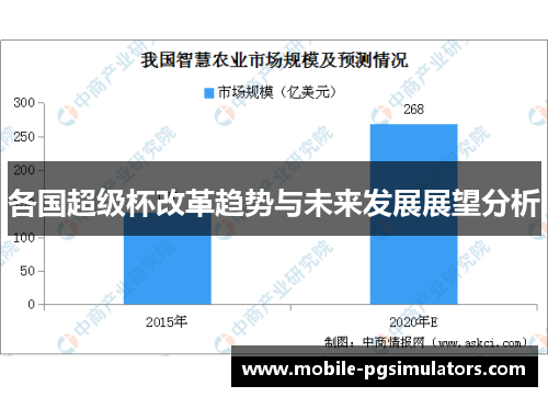 各国超级杯改革趋势与未来发展展望分析