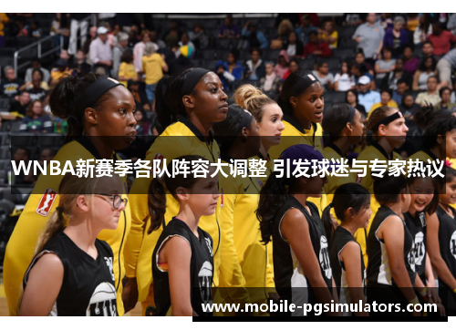 WNBA新赛季各队阵容大调整 引发球迷与专家热议