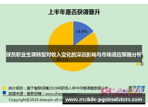 球员职业生涯转型对收入变化的深远影响与市场适应策略分析