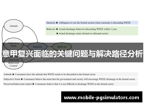 意甲复兴面临的关键问题与解决路径分析