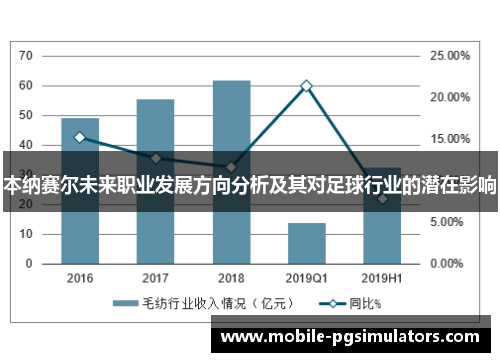 本纳赛尔未来职业发展方向分析及其对足球行业的潜在影响