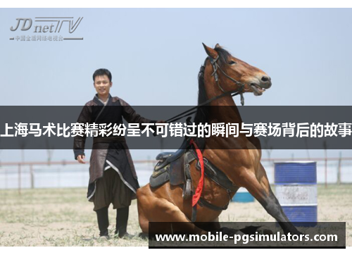 上海马术比赛精彩纷呈不可错过的瞬间与赛场背后的故事