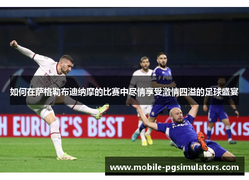 如何在萨格勒布迪纳摩的比赛中尽情享受激情四溢的足球盛宴