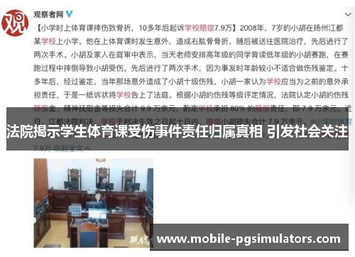 法院揭示学生体育课受伤事件责任归属真相 引发社会关注