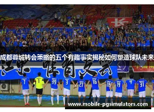 成都蓉城转会策略的五个有趣事实揭秘如何塑造球队未来