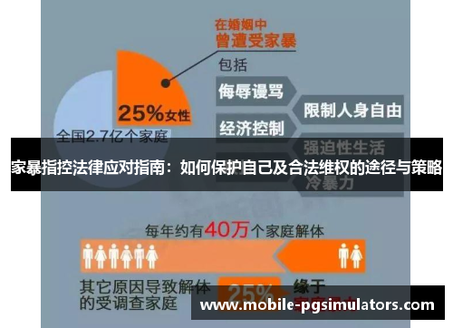 家暴指控法律应对指南：如何保护自己及合法维权的途径与策略