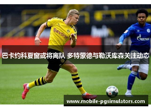 巴卡约科夏窗或将离队 多特蒙德与勒沃库森关注动态