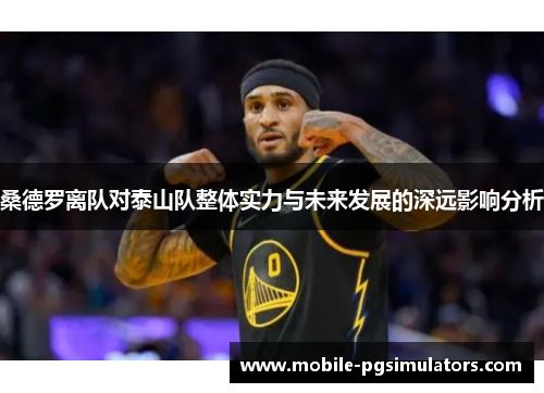 桑德罗离队对泰山队整体实力与未来发展的深远影响分析