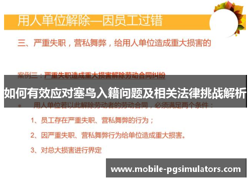 如何有效应对塞鸟入籍问题及相关法律挑战解析
