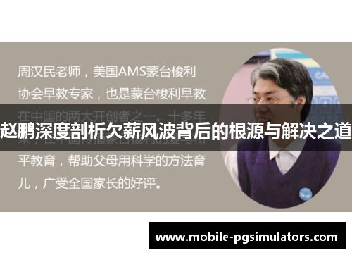 赵鹏深度剖析欠薪风波背后的根源与解决之道