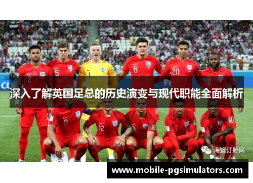深入了解英国足总的历史演变与现代职能全面解析