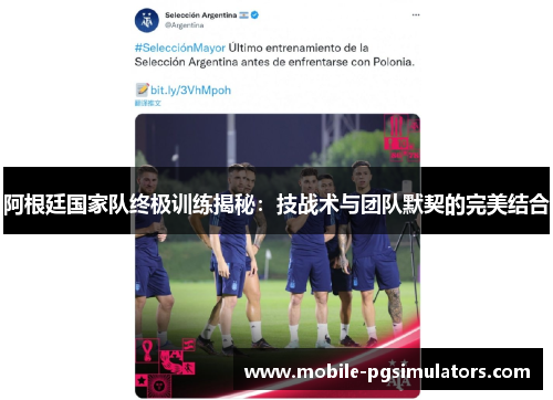 阿根廷国家队终极训练揭秘：技战术与团队默契的完美结合