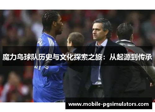 魔力鸟球队历史与文化探索之旅：从起源到传承