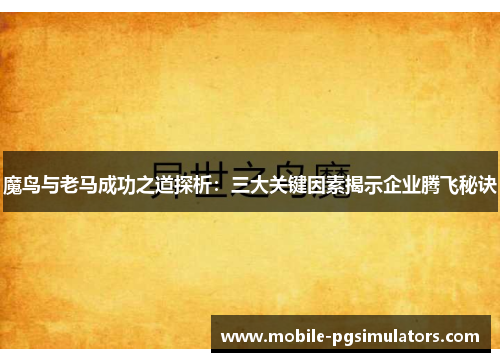 魔鸟与老马成功之道探析：三大关键因素揭示企业腾飞秘诀