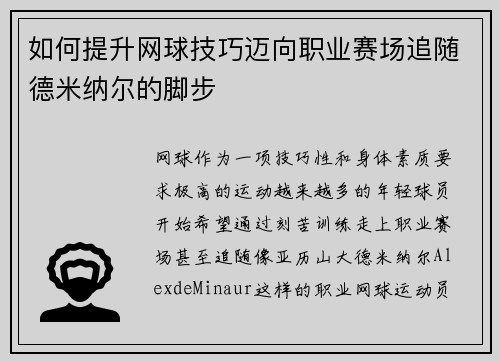 如何提升网球技巧迈向职业赛场追随德米纳尔的脚步