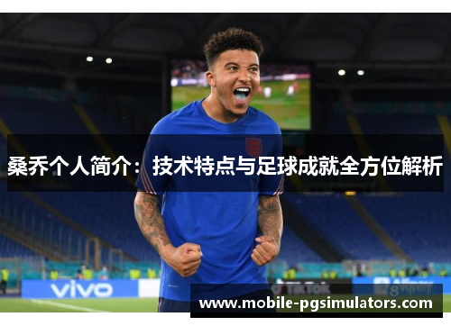 桑乔个人简介：技术特点与足球成就全方位解析