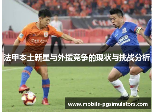 法甲本土新星与外援竞争的现状与挑战分析