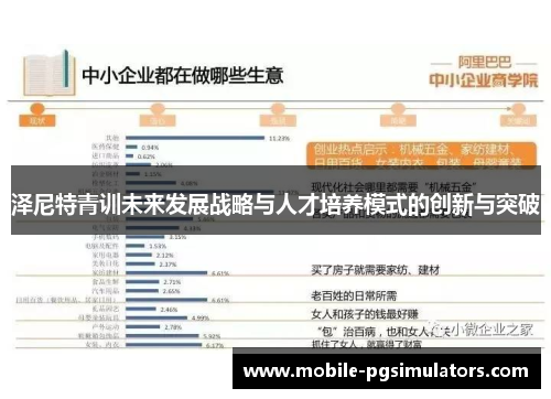 泽尼特青训未来发展战略与人才培养模式的创新与突破