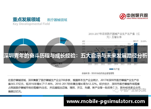 深圳青年的奋斗历程与成长经验：五大启示与未来发展路径分析