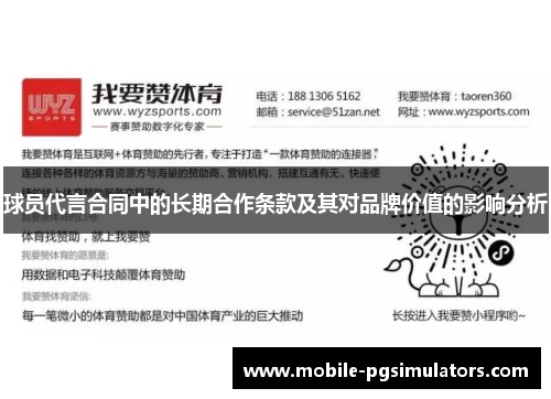 球员代言合同中的长期合作条款及其对品牌价值的影响分析