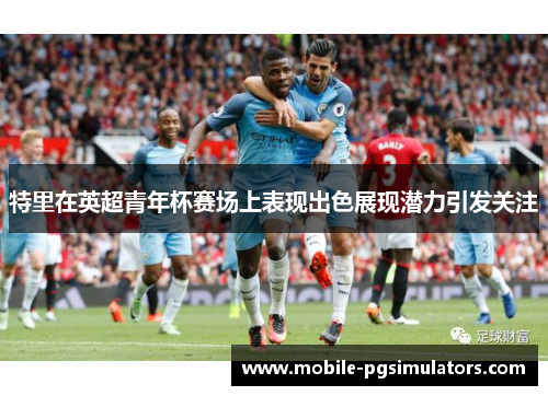 特里在英超青年杯赛场上表现出色展现潜力引发关注